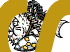 a subject
